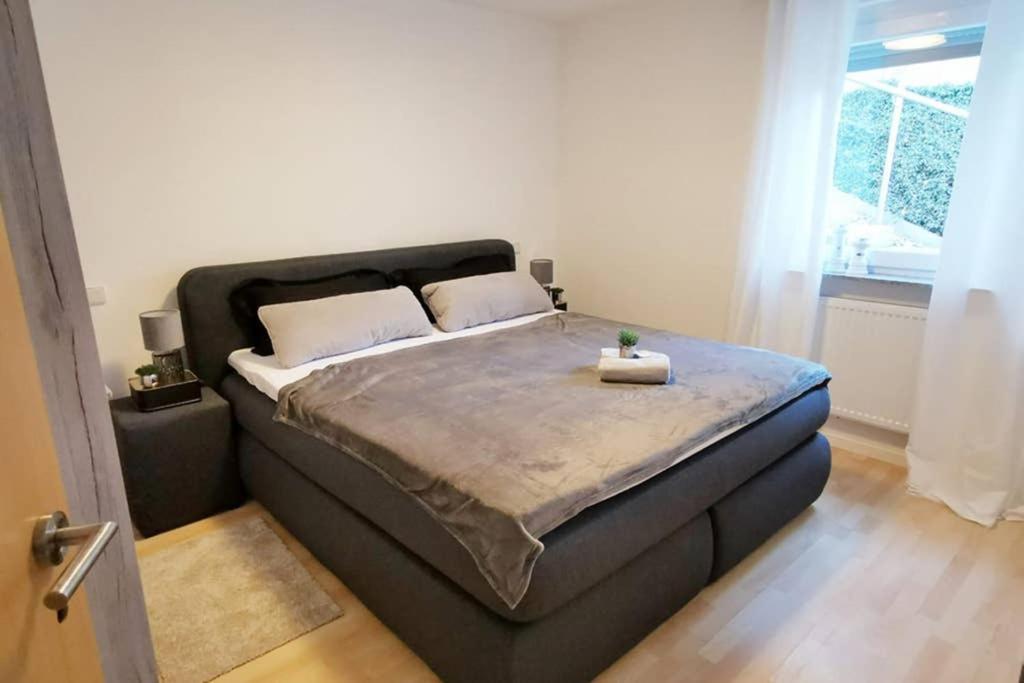 Ferienwohnung Rhode Rielasingen-Worblingen Εξωτερικό φωτογραφία
