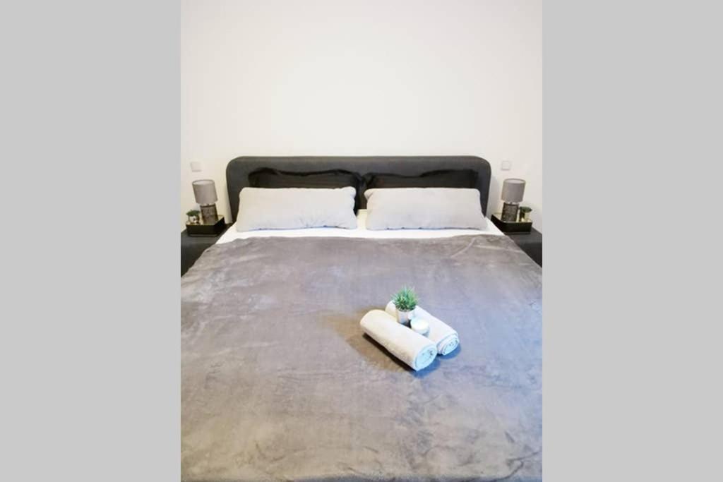 Ferienwohnung Rhode Rielasingen-Worblingen Εξωτερικό φωτογραφία